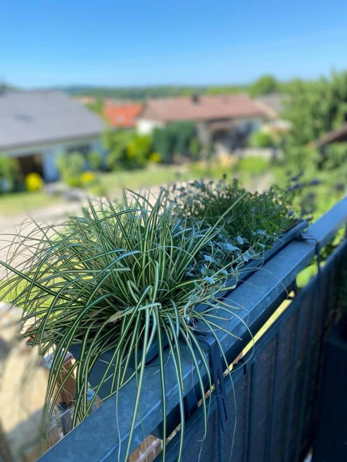 Bei Servays Eppingen Exterior foto